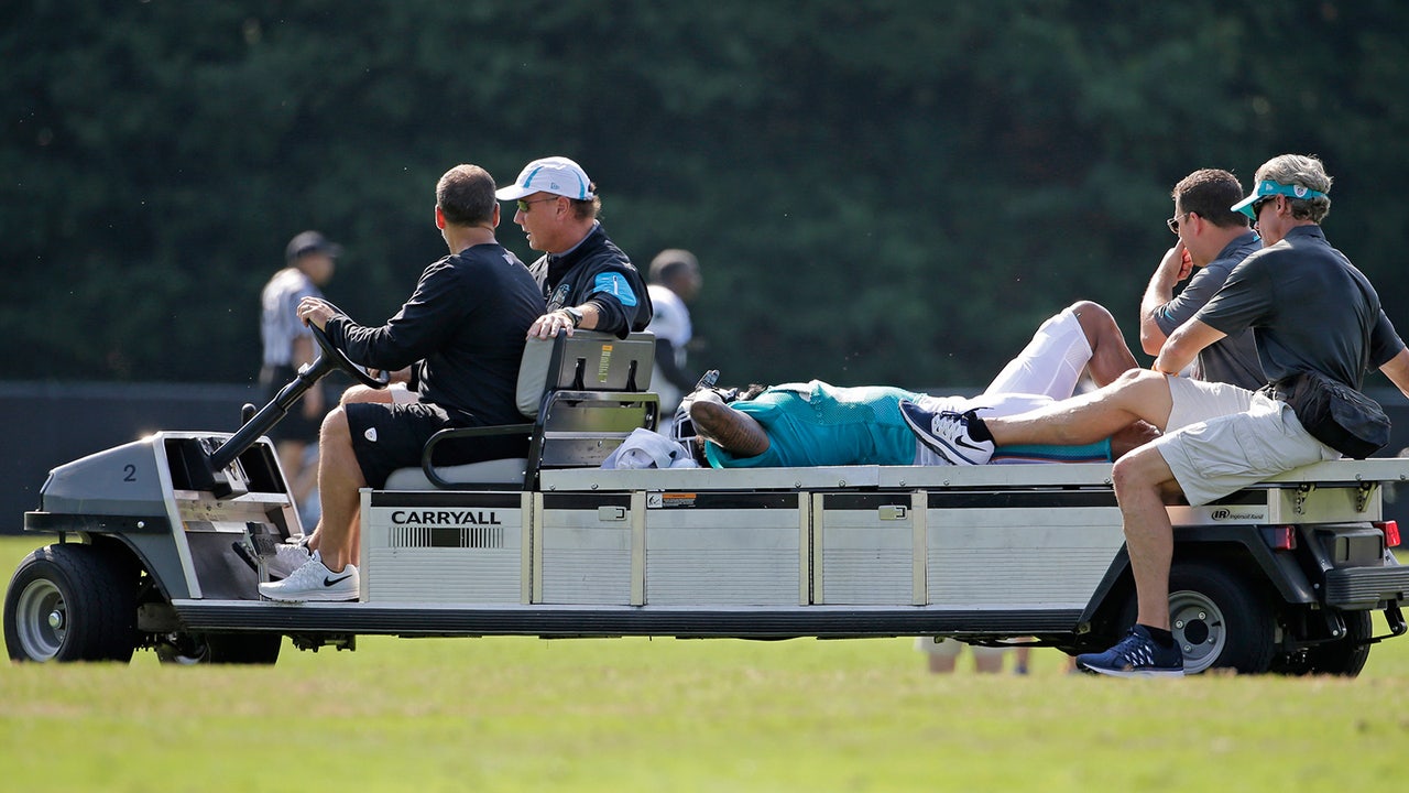 Dolphins safety Louis Delmas out for season after tearing right ACL